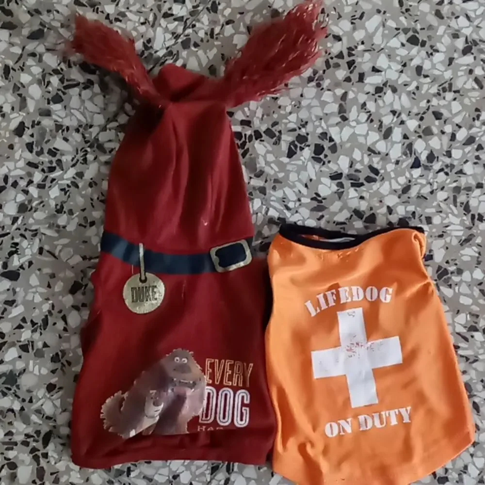 Smedium Doggie top